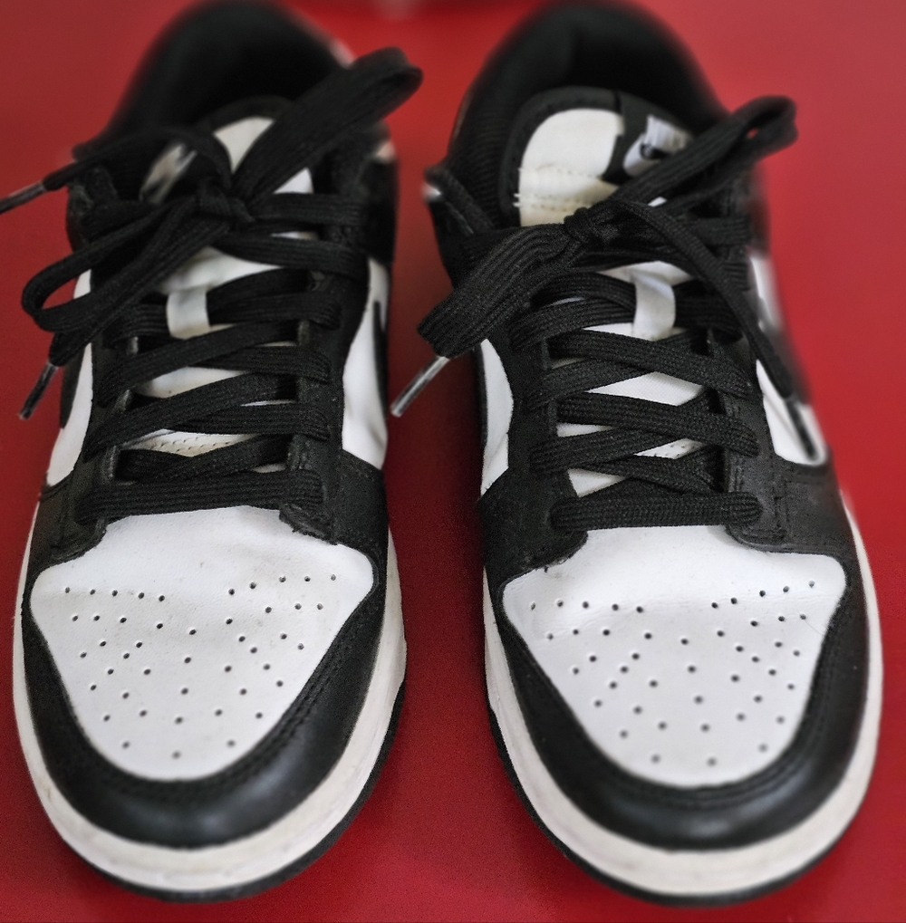 Panda Dunks - image 1